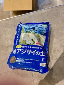 画像２