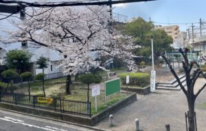 画像５