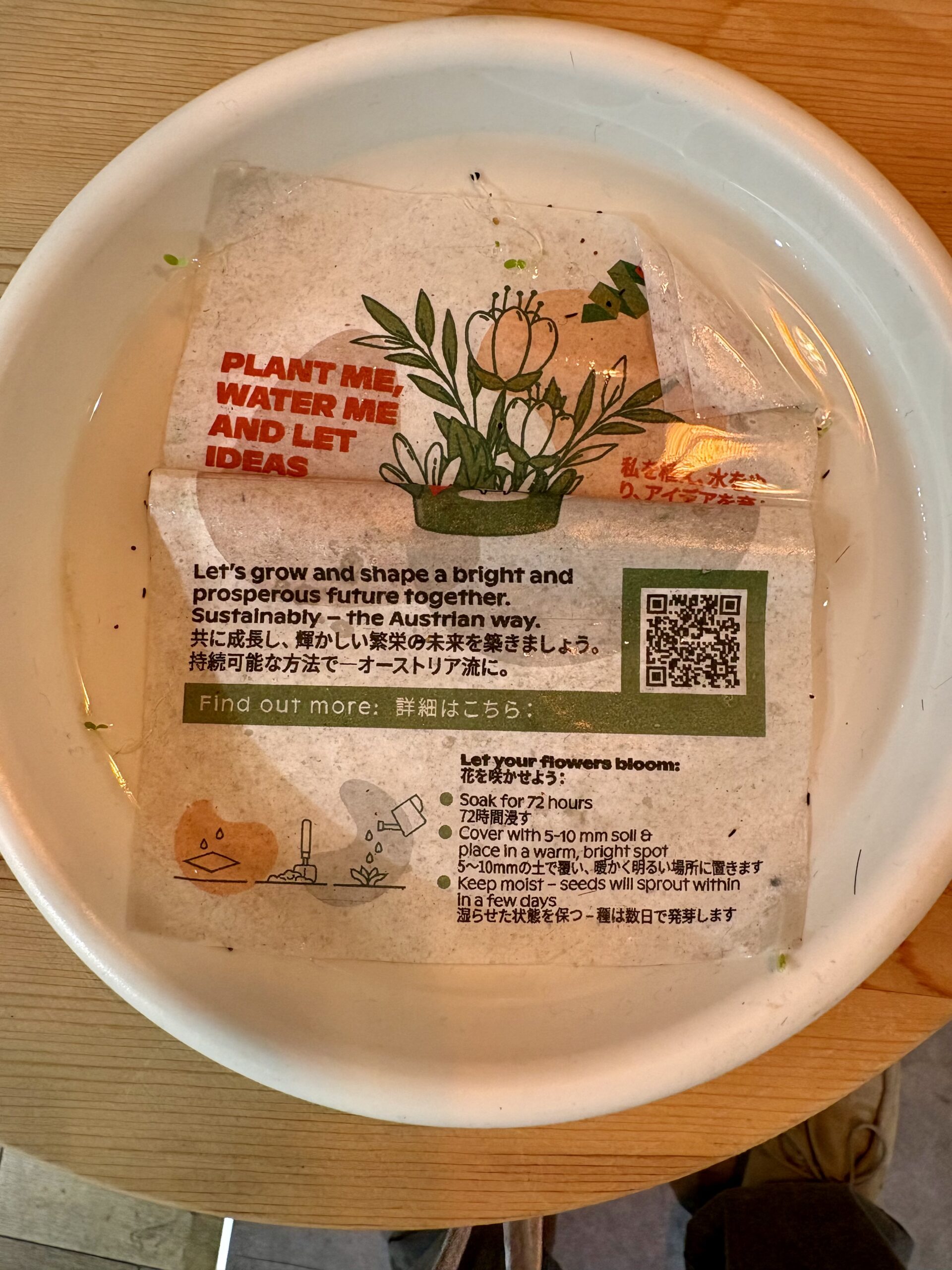 画像２